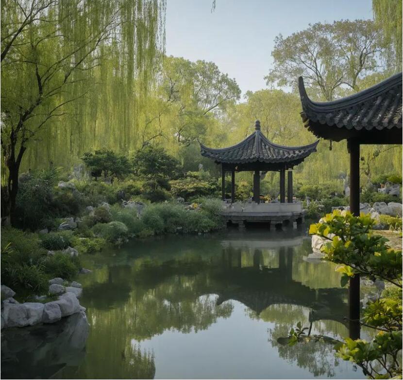 雅安雨城凌乱航空航天有限公司